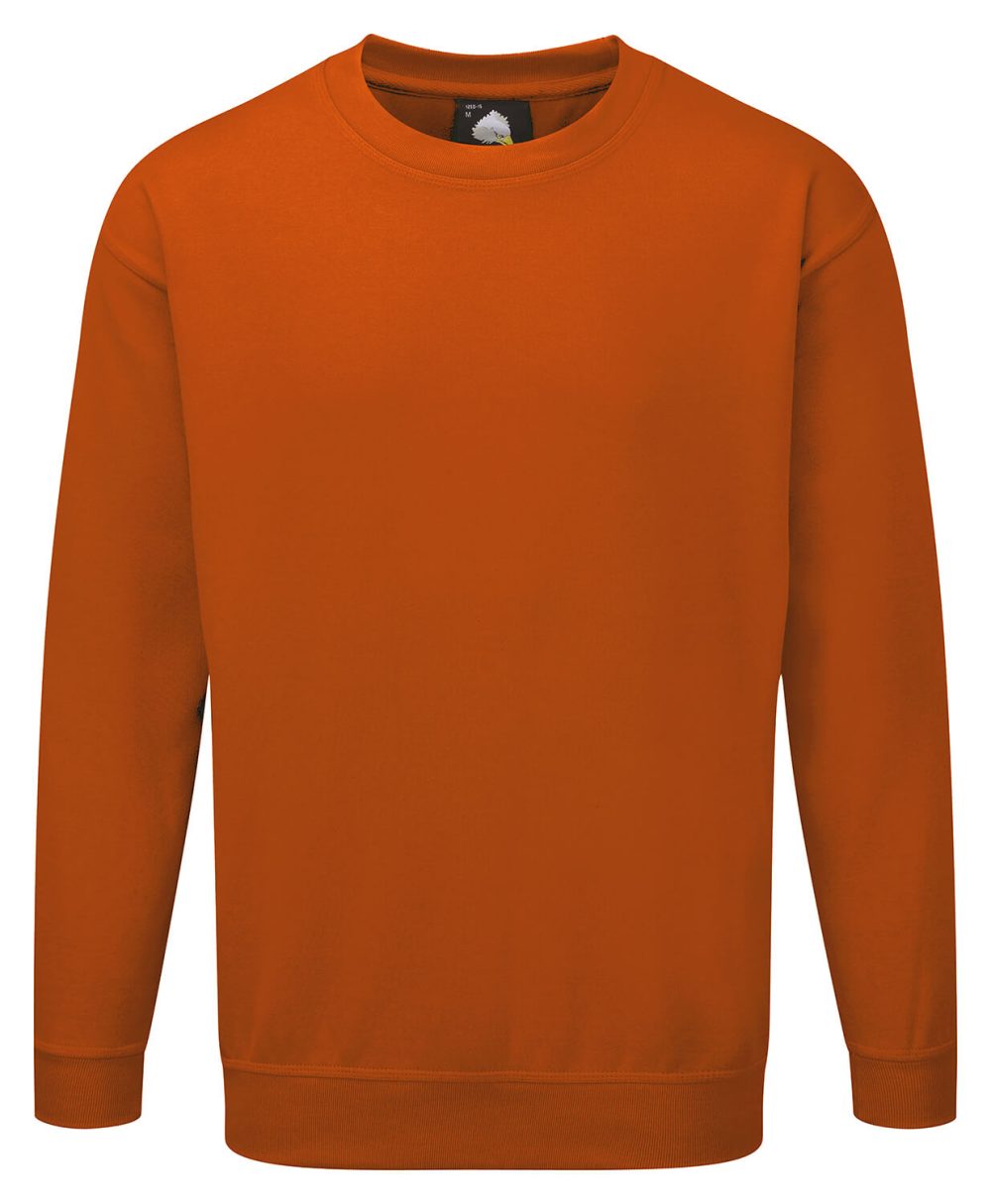 Kite Sweatshirt Orange