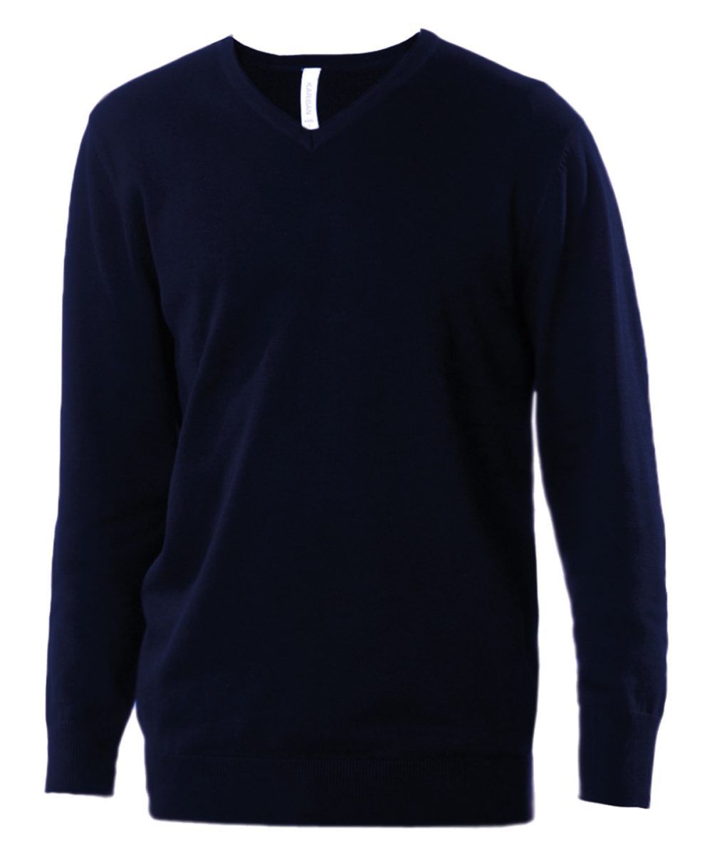 Navy Men's V-neck jumper