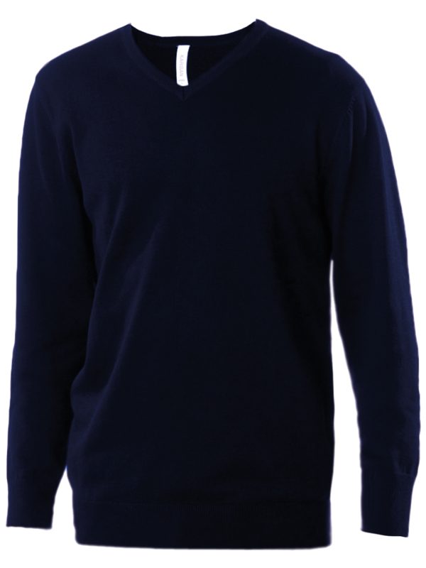 Navy Men's V-neck jumper