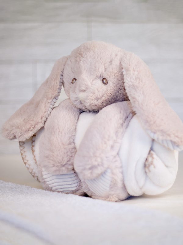 Rabbit and blanket