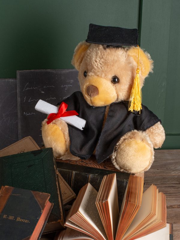 Graduation bear