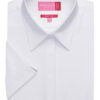 Brook Taverner Ozzero Ladies' S/S Blouse Blue Herringbone