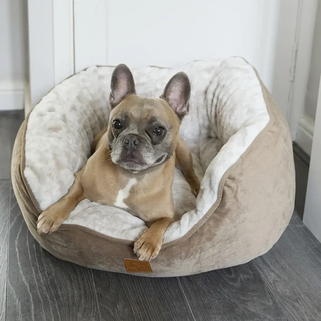 Category Dog Beds
