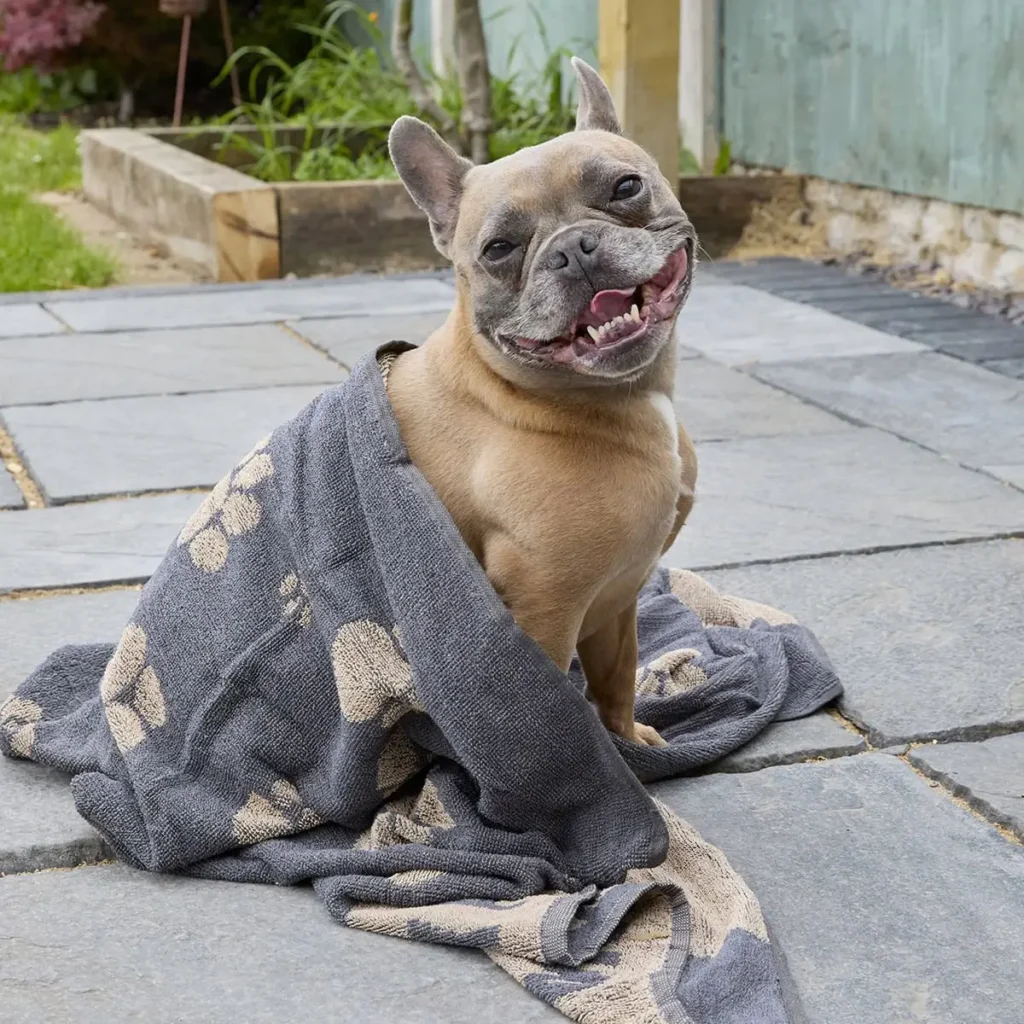Category Dog Towels
