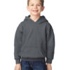 Heavy Blend™ Youth Hooded Sweatshirt