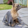 Jumbo Terry Jacquard Dog Towel