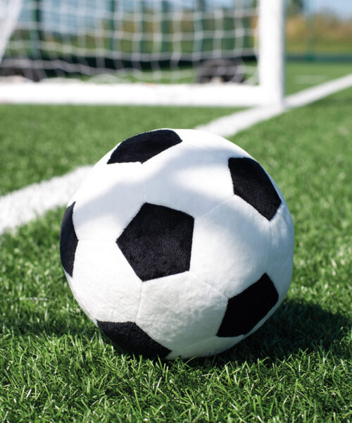 Zippie Football