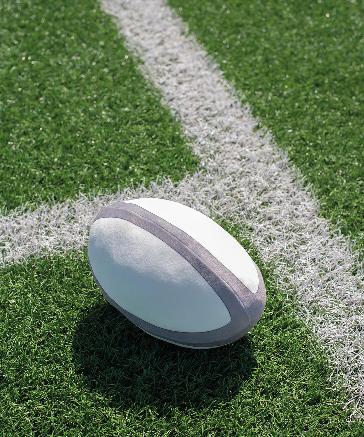 Zippie Rugby Ball