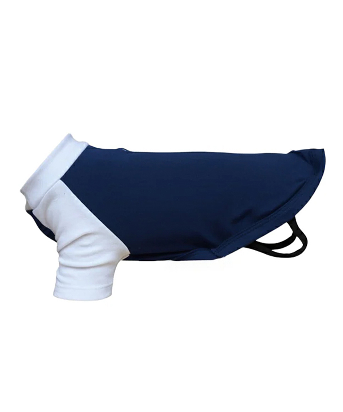 Dog’S Raglan T-Shirt - Image 5