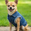 Embroidered Dog Denim Jacket