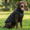 Embroidered Dog Puffer Jacket