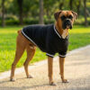Embroidered Dog Varsity Jacket