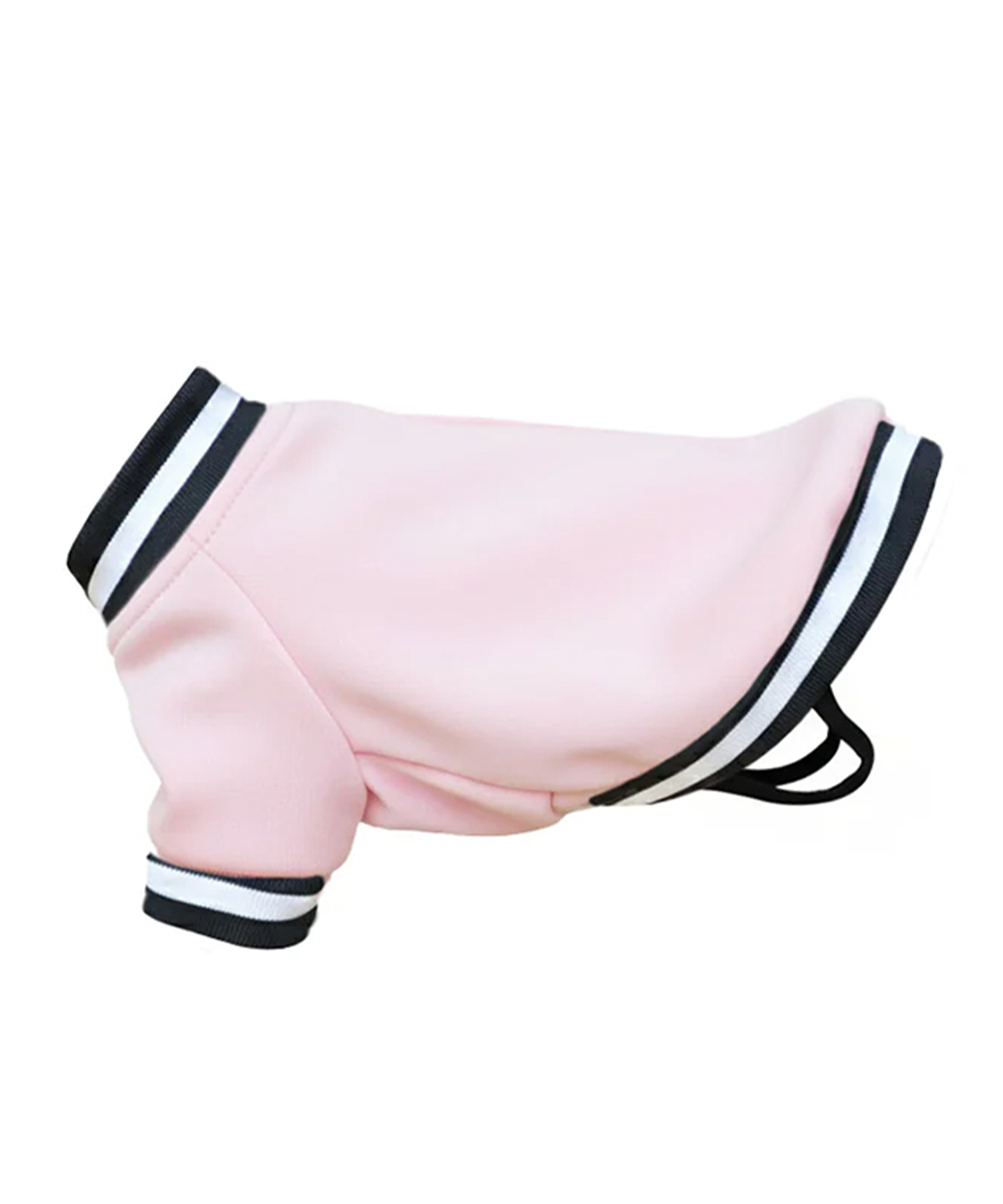 Embroidered Dog Varsity Jacket - Image 4
