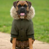 Embroidered Dog Parka Jacket